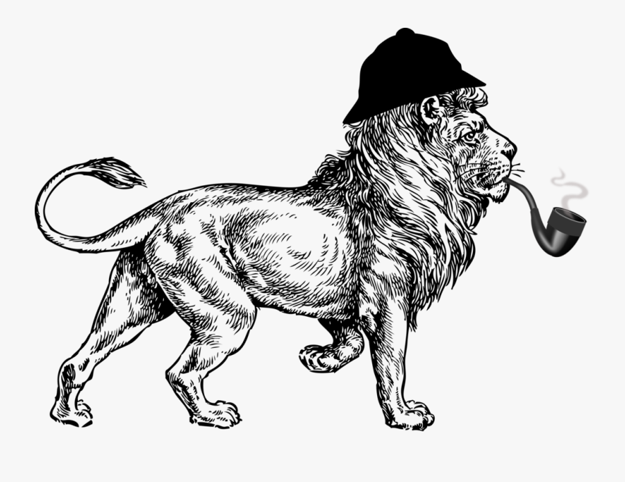 Sherlock Lion - Expeditions Maasai Safaris, Transparent Clipart