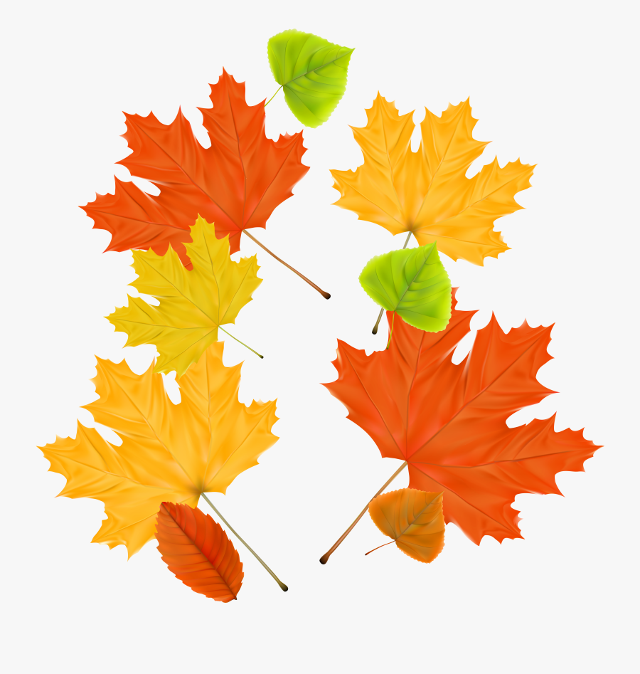 Fall Clipart Decor - Autumn Theme Background, Transparent Clipart