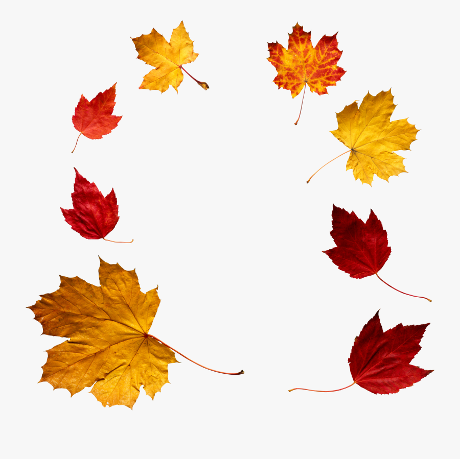 Fall Leaves And Pumpkins Border Png - Autumn Leaf Frame Png, Transparent Clipart