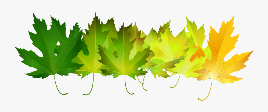 Green Autumn Leaves Transparent Clip Art Image - Green Fall Leaves Clip Art, Transparent Clipart