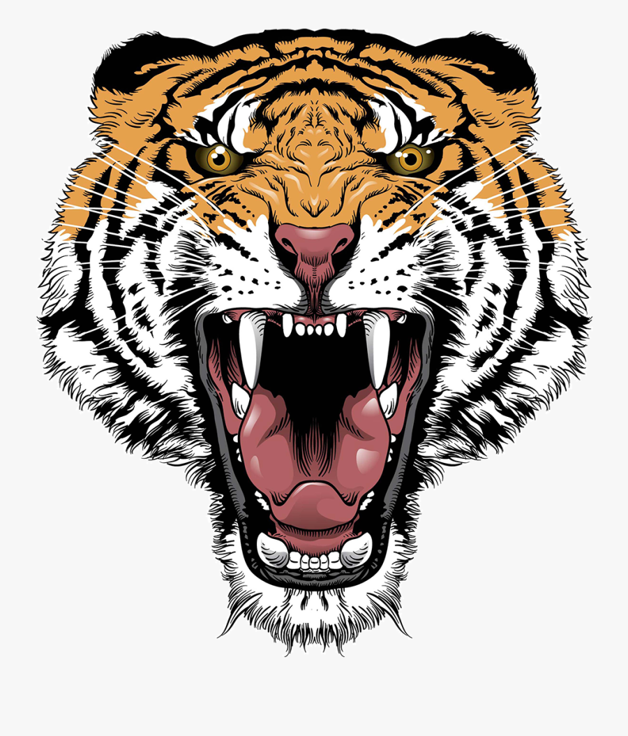 Siberian Lion Clip Art Transprent Png - Tiger Face Png, Transparent Clipart