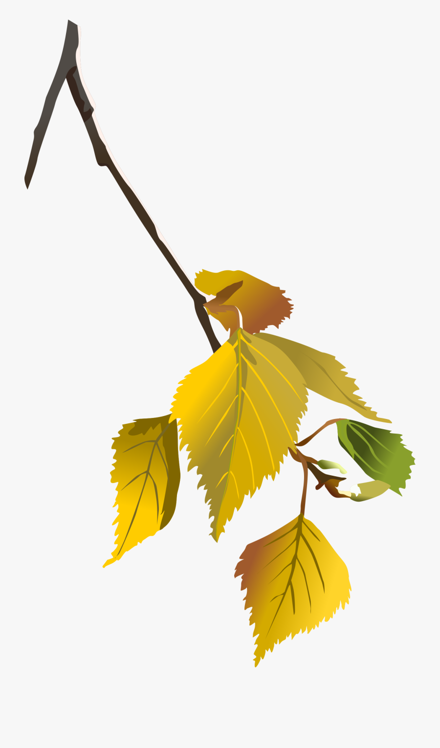 All Photo Png Clipart - Birch In Autumn Clipart, Transparent Clipart