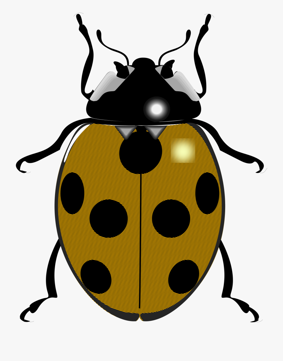 Transparent Ladybug Clip Art - Things That Begin With The Letter L, Transparent Clipart