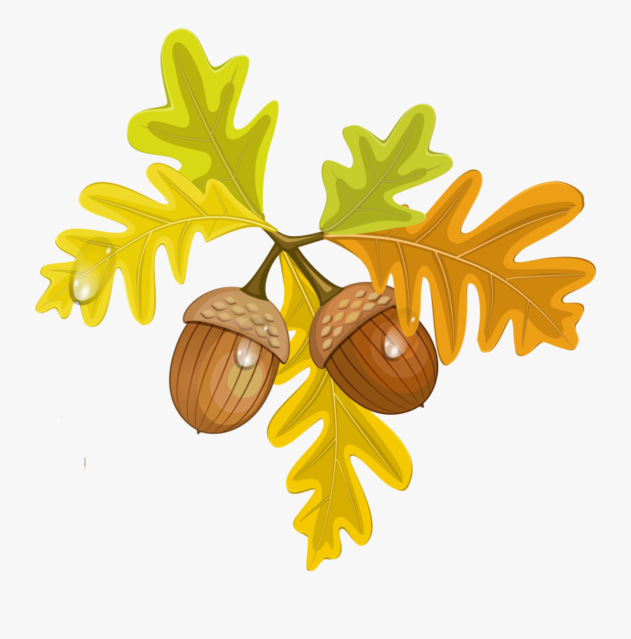 Fall Clipart Leavesclip - Leaves And Acorns Clipart, Transparent Clipart