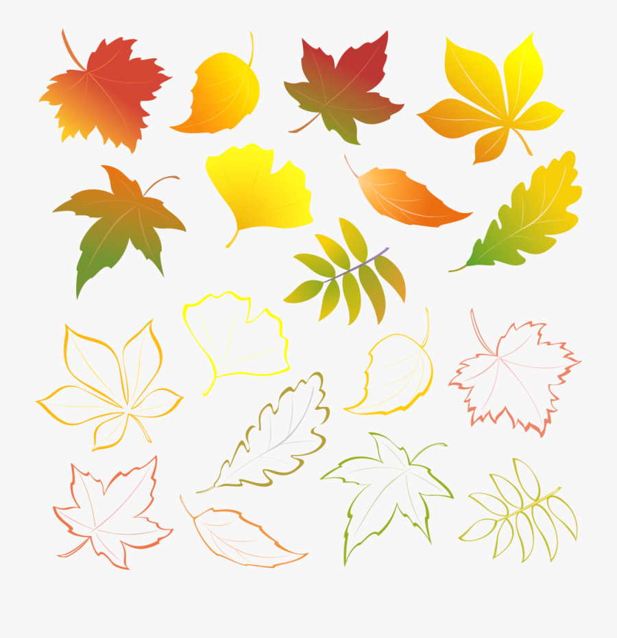 Transparent Fall Flower Clipart - Falling Leaves, Transparent Clipart