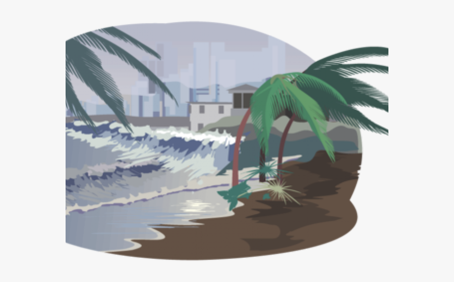 Thunder Clipart Hurricane - Attalea Speciosa, Transparent Clipart