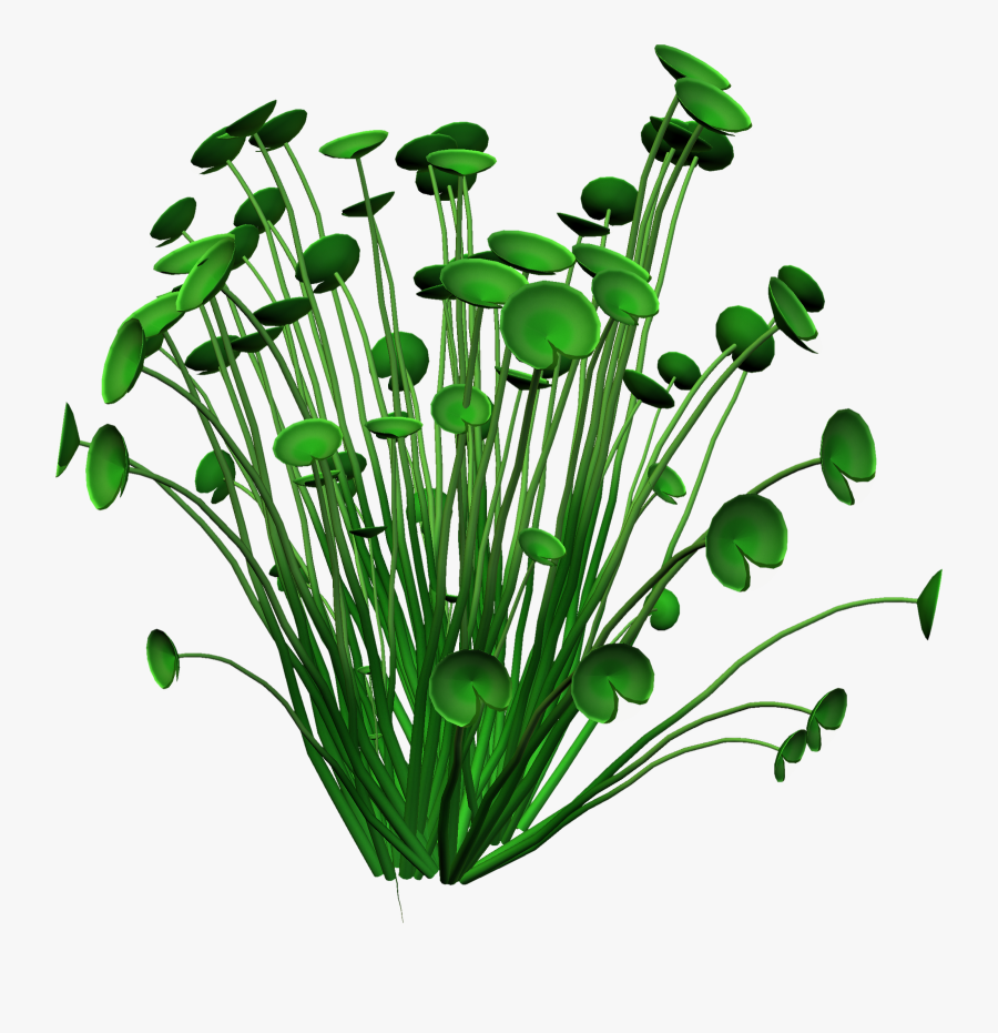 January Anniversaries Clipart - Marriage Anniversary Transparent Png, Transparent Clipart