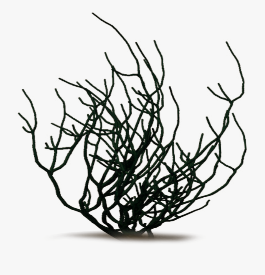 Clipart Of Res, Anniversary January And Annaprashan - Grass, Transparent Clipart