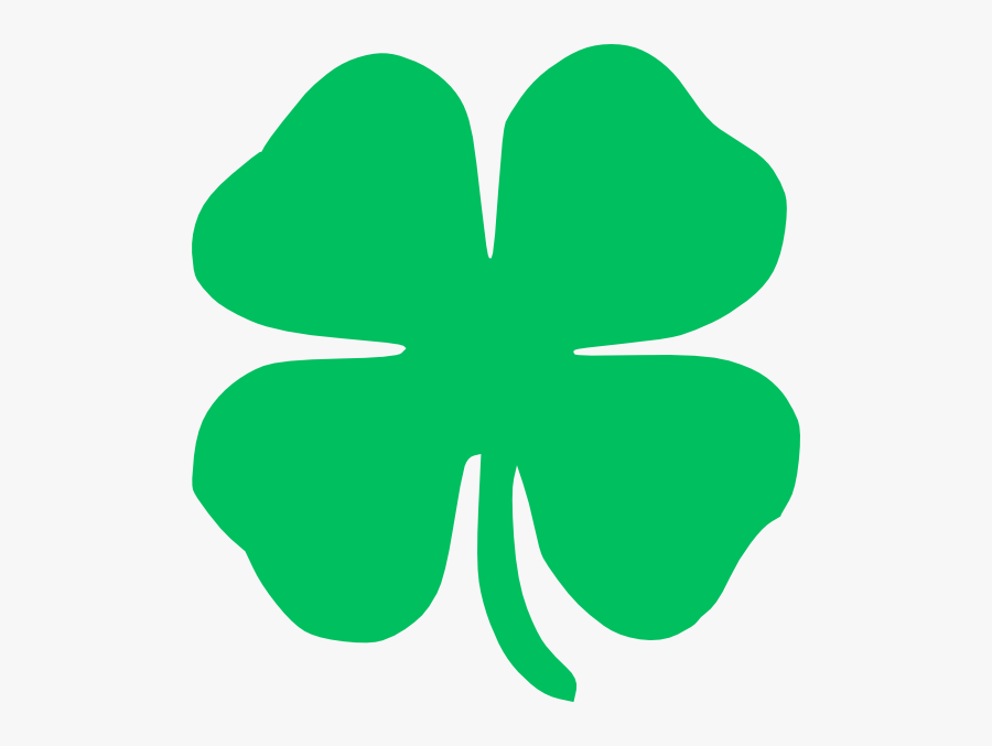 Four Leaf Clover, Transparent Clipart
