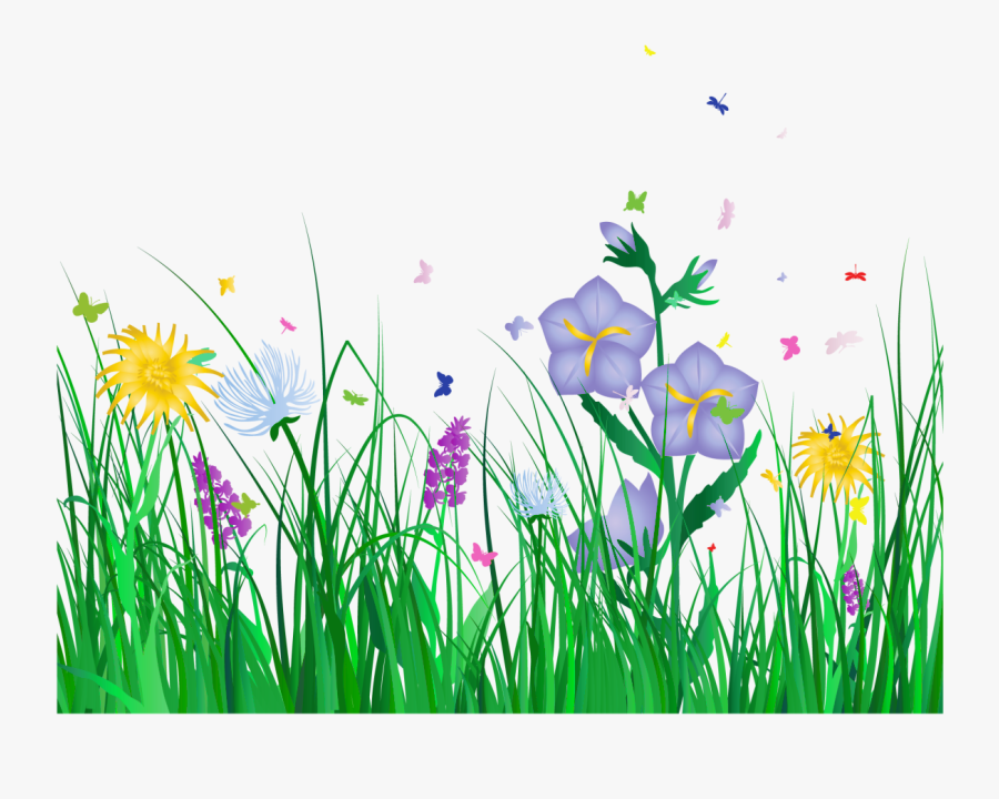 Grass Border No Background - Transparent Background Clip Art Flowers, Transparent Clipart