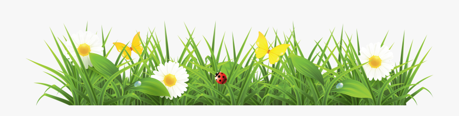 Cartoon Grass Png, Transparent Clipart