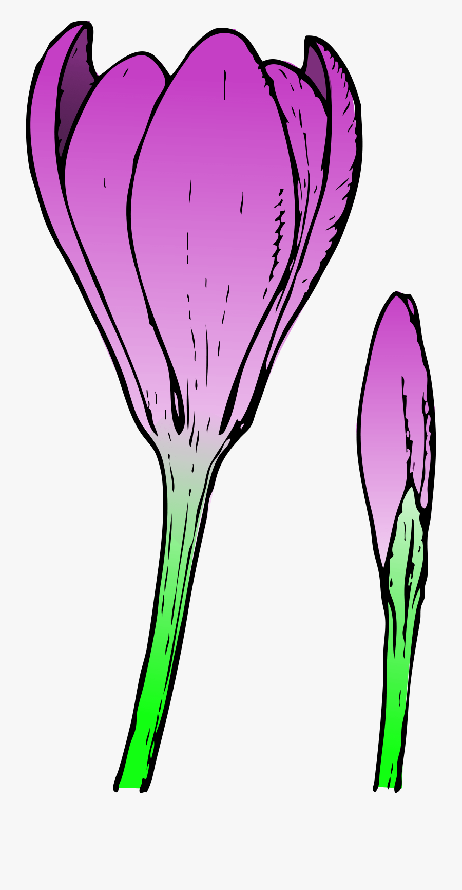 Spring Flowers Spring Flower Clip Art Images Clipart - Crocus Flower, Transparent Clipart