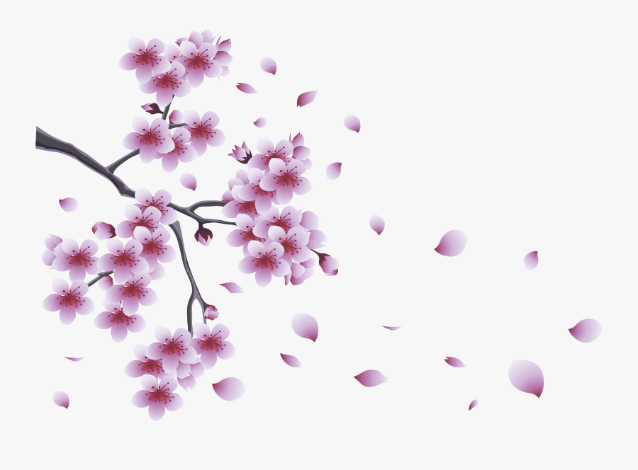 Spring Branch With Tree Flowers Png Clipart - Spring Png, Transparent Clipart