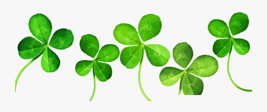 Four Leaf Clip Art - 4 Leaf Clovers Clipart, Transparent Clipart