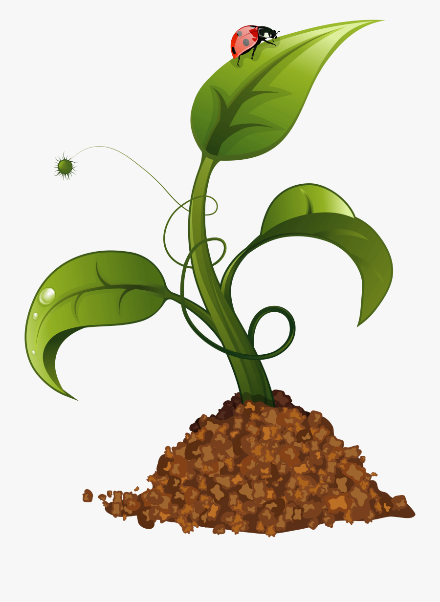 Elegant Spring Flower Clip Art Free Flowers Images - Crops Clipart Transparent Background, Transparent Clipart