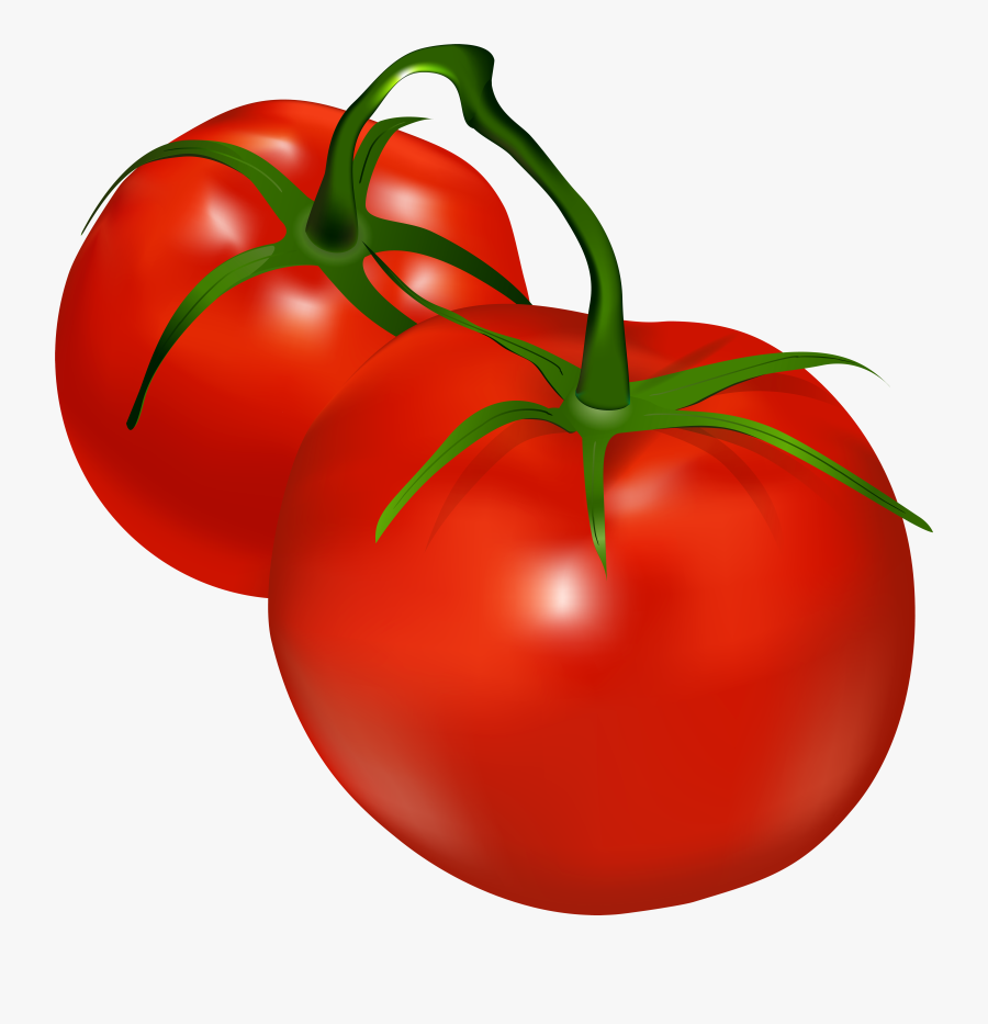 Tomatoes Transparent Png Clip Art , Png Download, Transparent Clipart