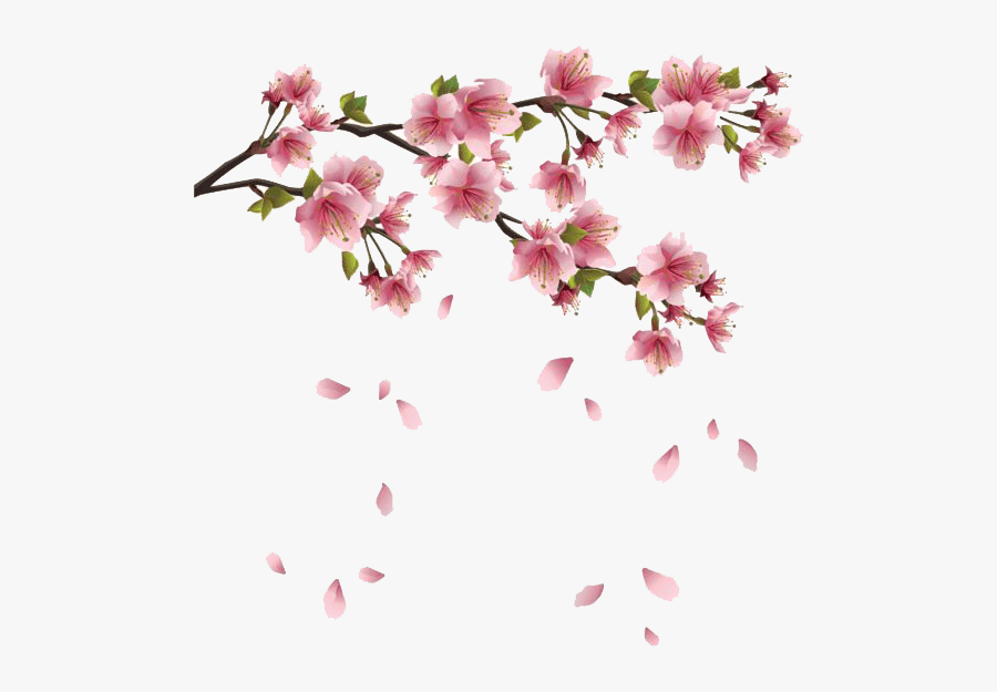 Spring Flowers Branches Transparent Png - Transparent Sakura Flower Png, Transparent Clipart