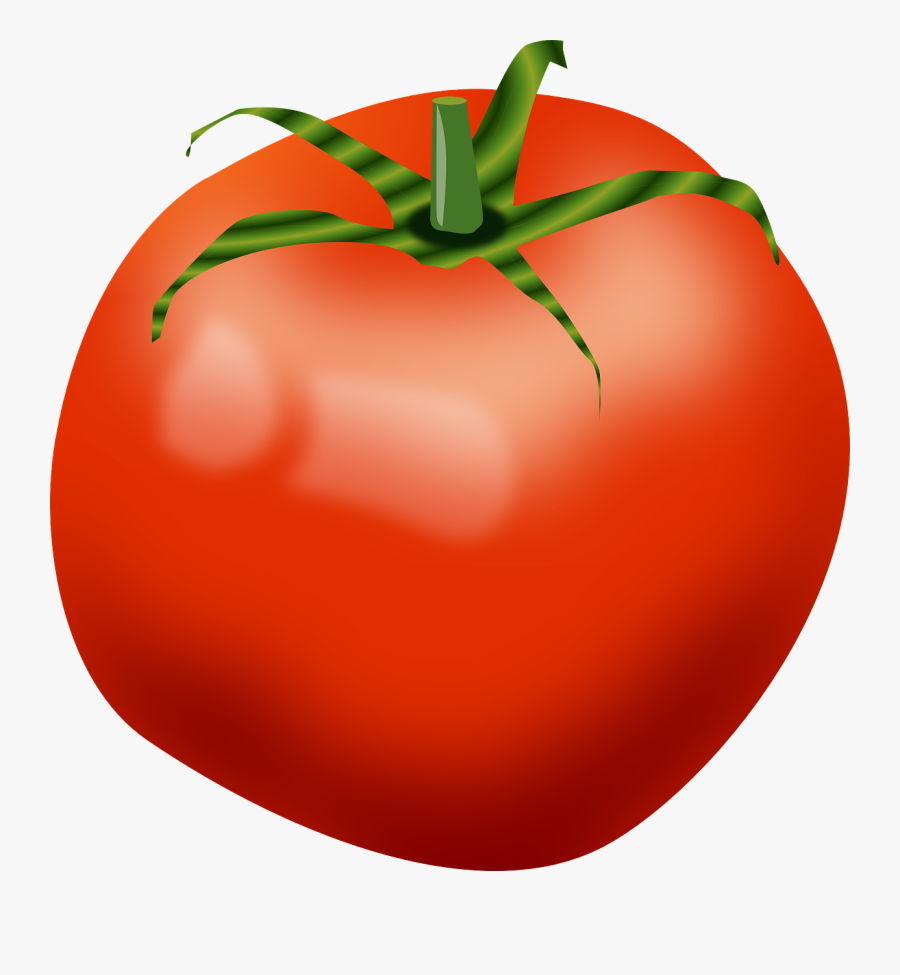 Transparent Background Tomato Clipart, Transparent Clipart