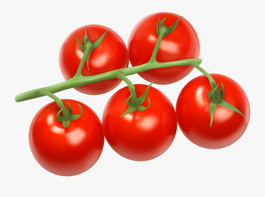 Tomatoes Branch Png Clipart - Tomatoes Clipart Png, Transparent Clipart