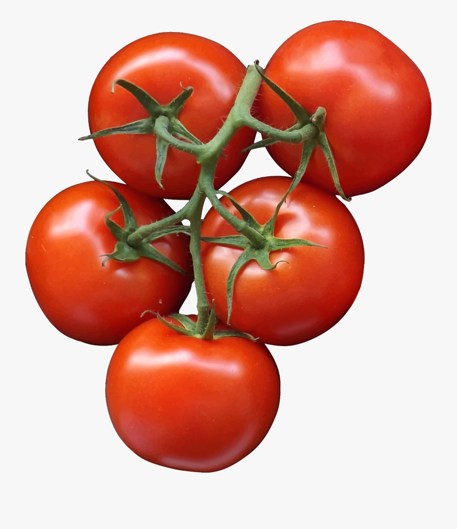 Tomato Clipart Svg - Transparent Background Tomatoes Clipart, Transparent Clipart