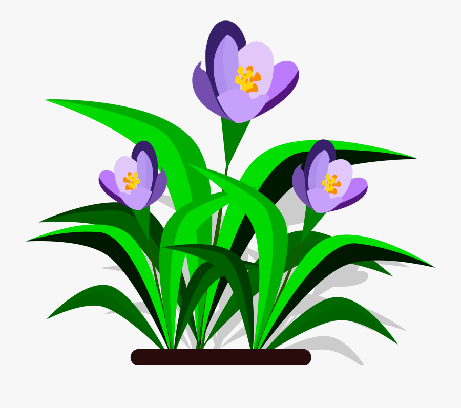 Clip Art Spring Flowers - Clip Art, Transparent Clipart