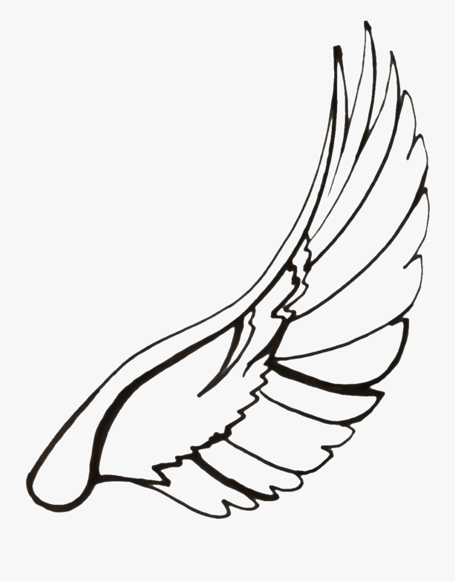 Wings Line Drawing At - Wings Of A Dove Drawing, Transparent Clipart