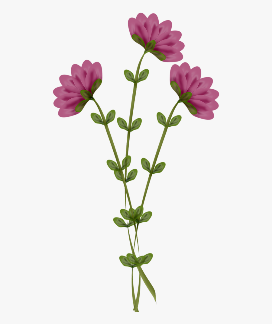 African Daisy Clipart, Transparent Clipart