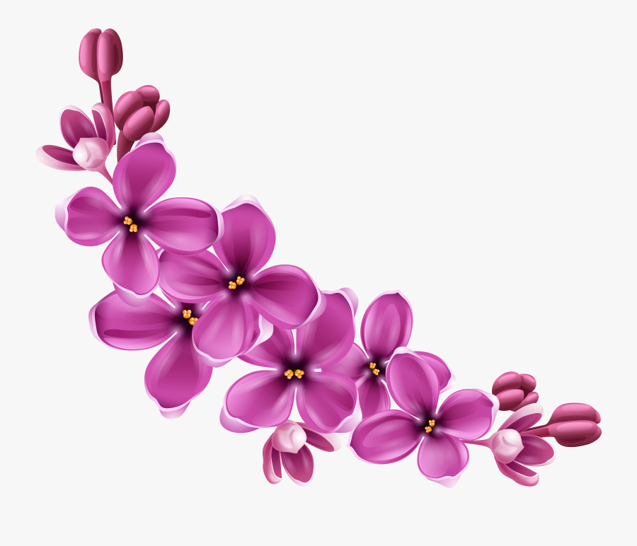 Purple Spring Flowers Queen Png - Transparent Background Flower Png, Transparent Clipart
