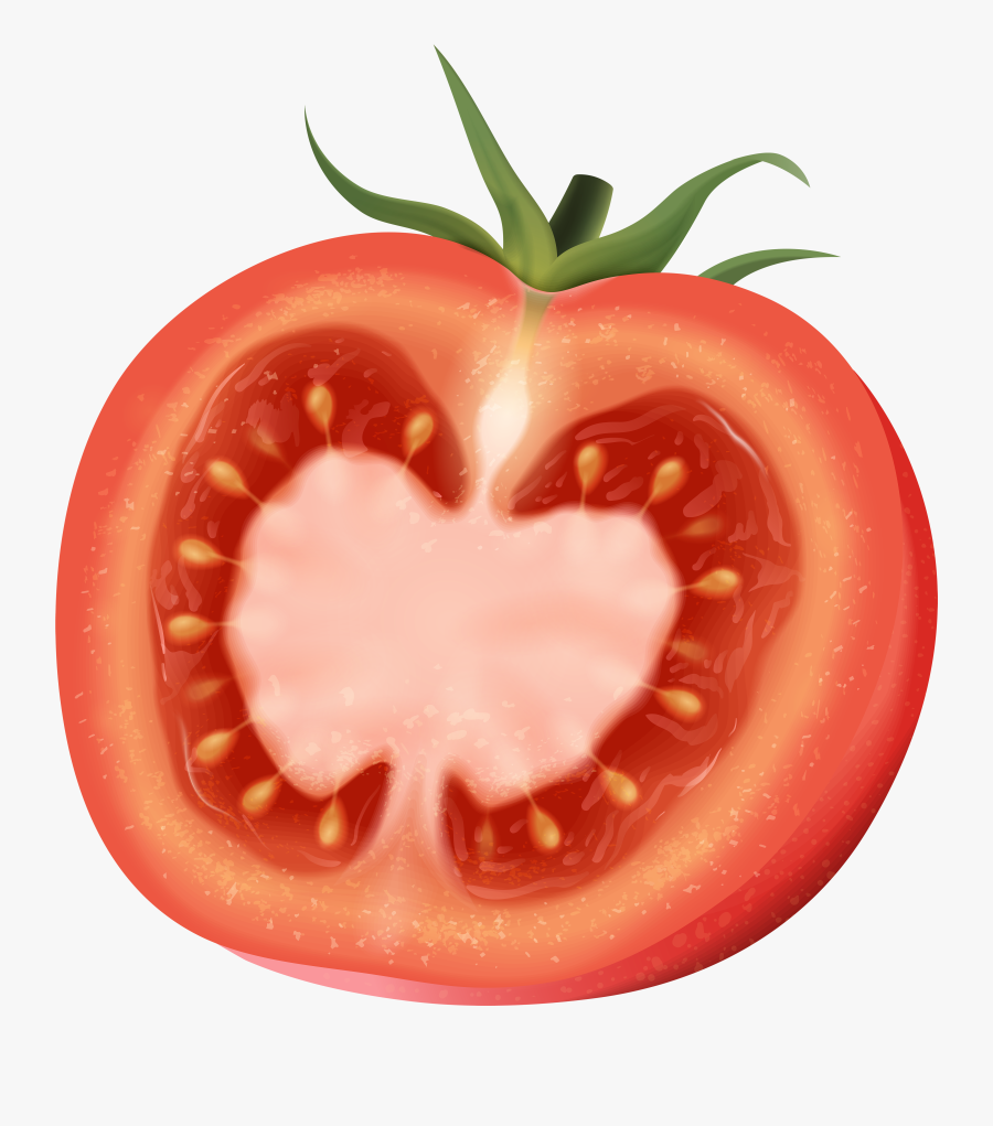 Transparent Tomato Clipart - Tomato Art, Transparent Clipart
