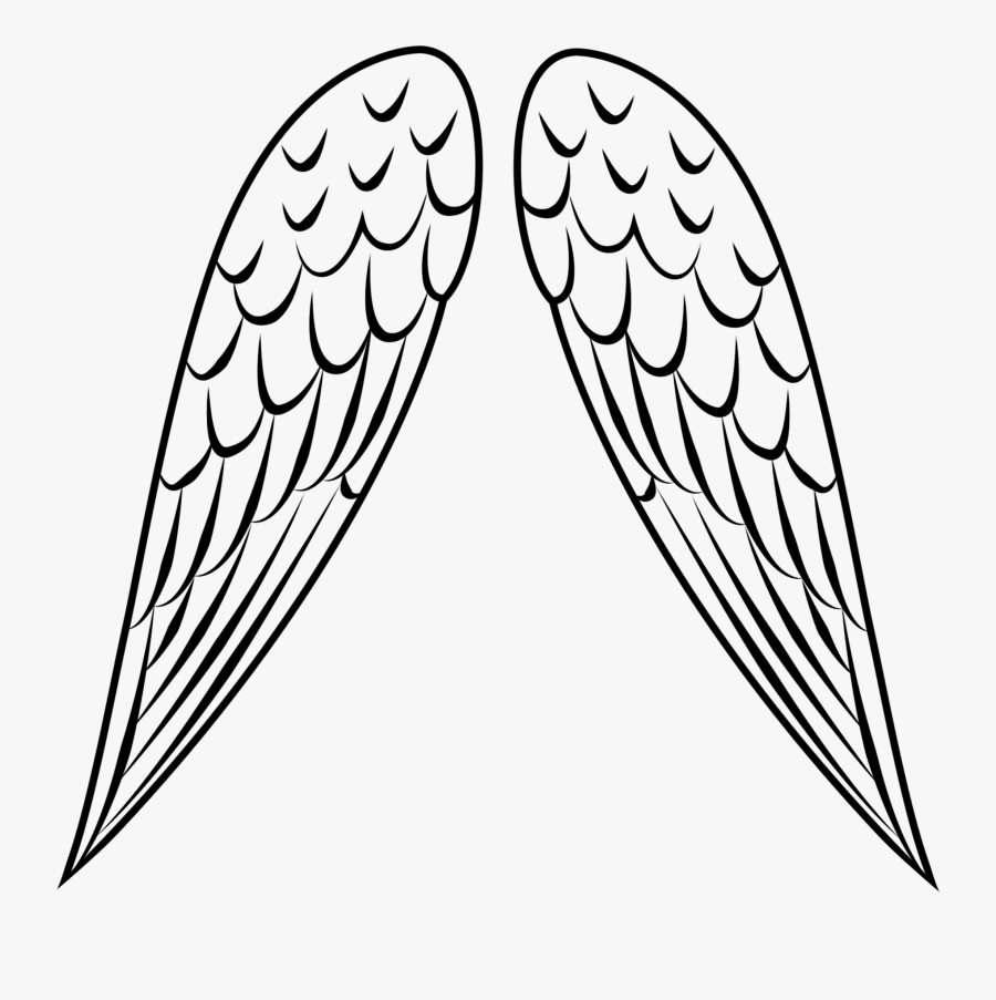 Angel Wings Clipart For Free Download - Simple Bird Wings Drawing, Transparent Clipart