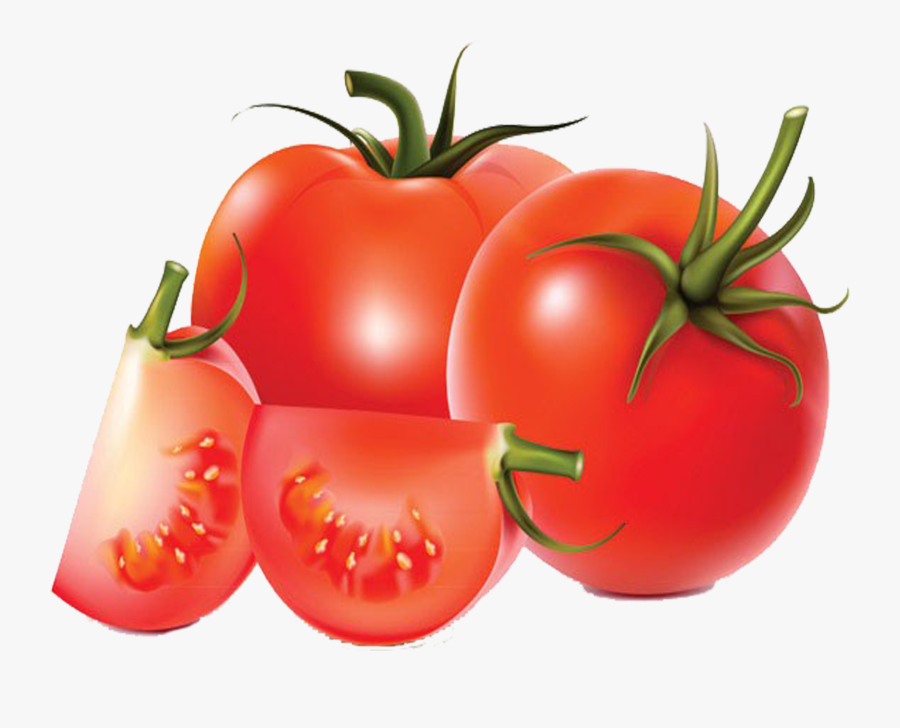 Transparent Tomato Slice Png - Tomato Vector Slice Png, Transparent Clipart