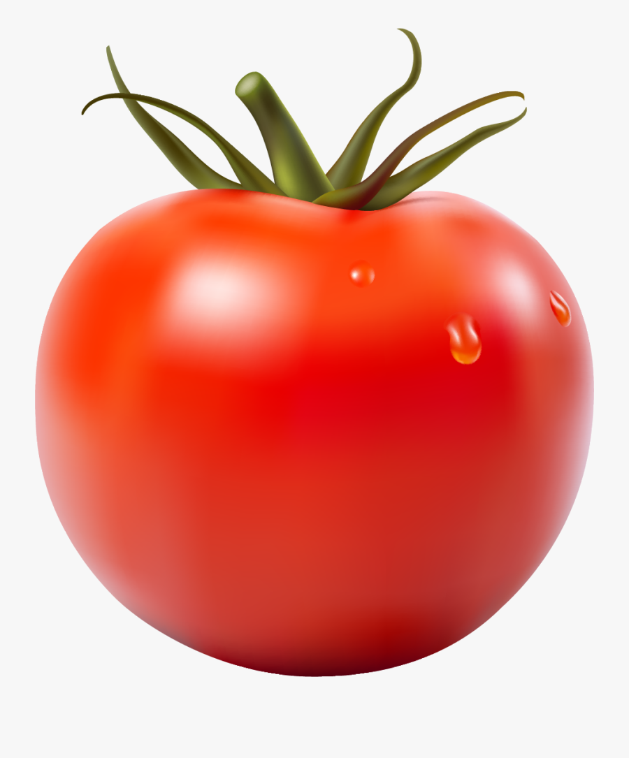 Tomatoe Png, Transparent Clipart