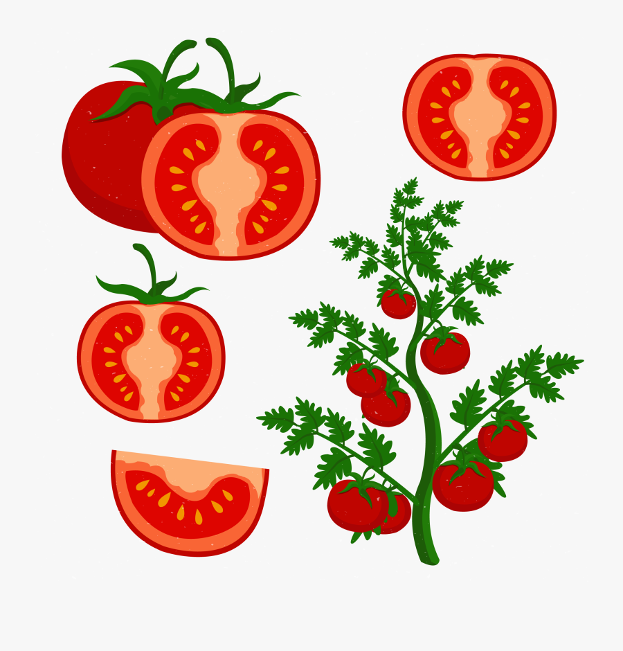 Cherry Tomato Clip Art, Transparent Clipart