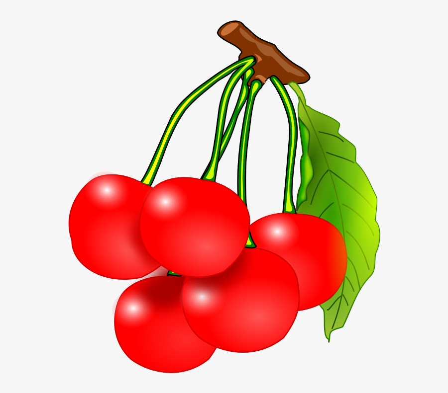 Tomato,plant,bush Tomato - Fruits Clipart, Transparent Clipart