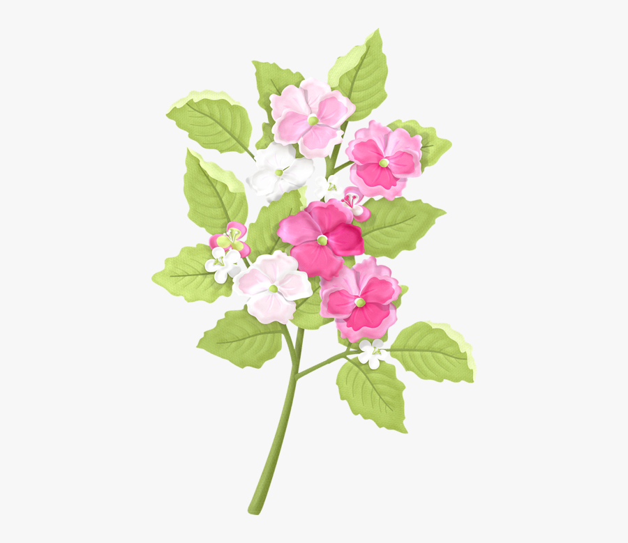 Periwinkle, Transparent Clipart