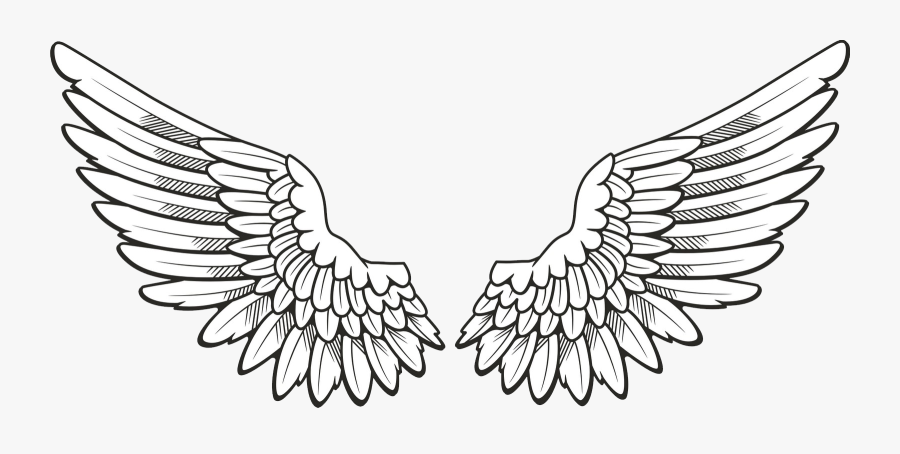 Wings Png Clipart - Angel Wings Drawing, Transparent Clipart