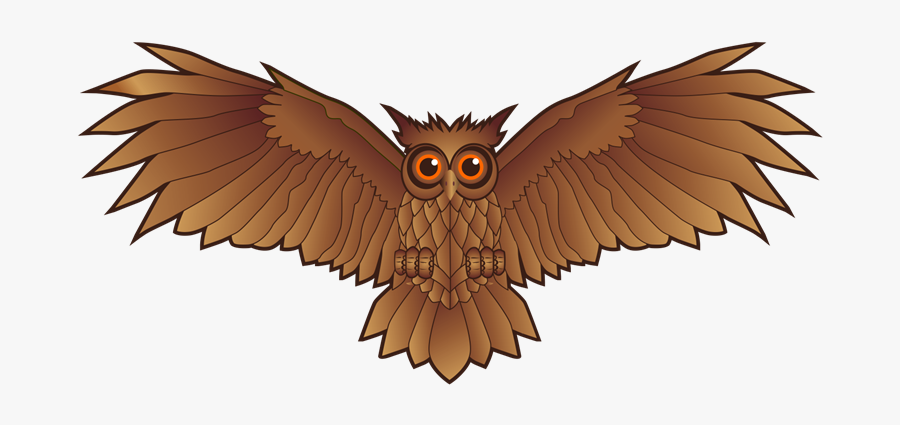Wing Clipart Owl - Owl Wings Clip Art, Transparent Clipart