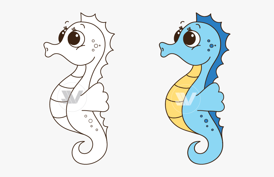 Cartoon Seahorse Coloring Page, Transparent Clipart