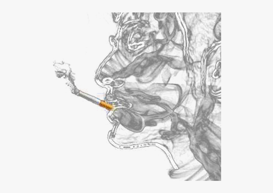 Smoke Clipart Joint - Smoke Art, Transparent Clipart