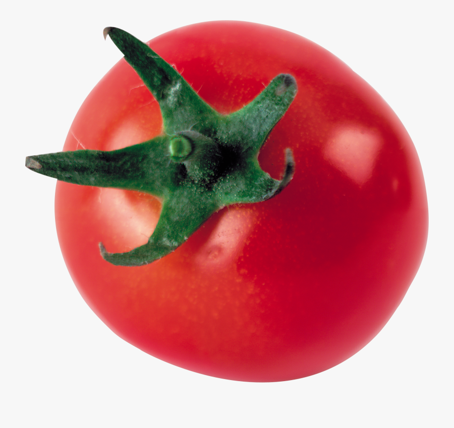 One Tomato Png, Transparent Clipart