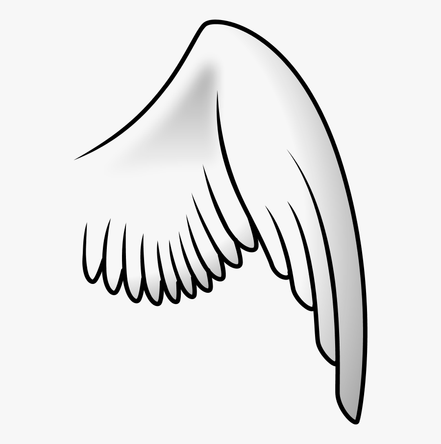 Angel Wing Right - Bird Wing Clip Art, Transparent Clipart