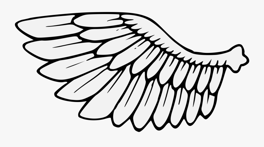 Transparent Wings Clipart Png - Birds Wings Clipart Black And White, Transparent Clipart