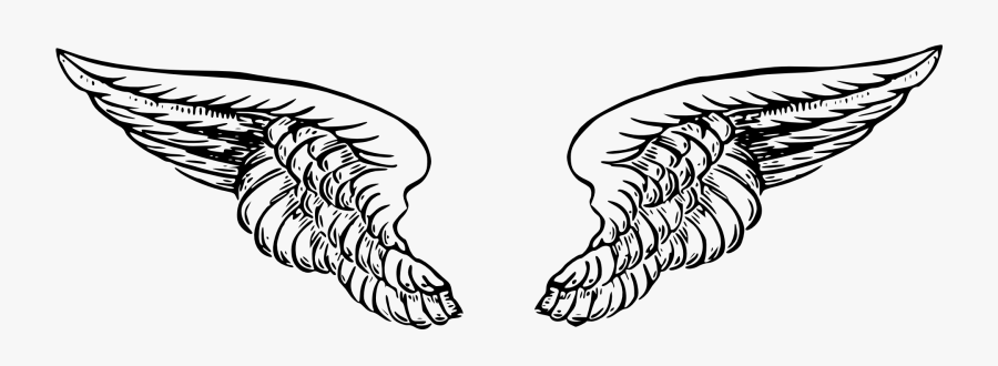 Onlinelabels Clip Art - Wing Angel Vector Png, Transparent Clipart