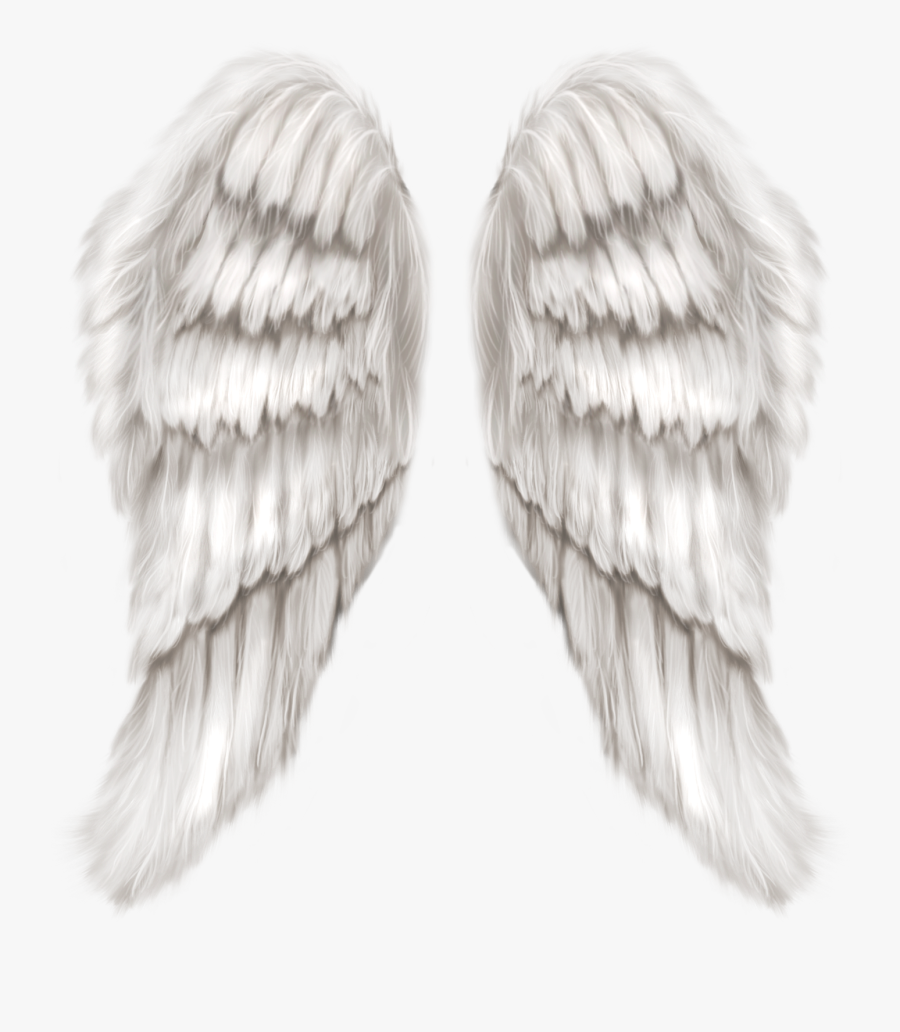 Transparent Angel Wings Clipart Black And White - Realistic Angel Wings Png, Transparent Clipart