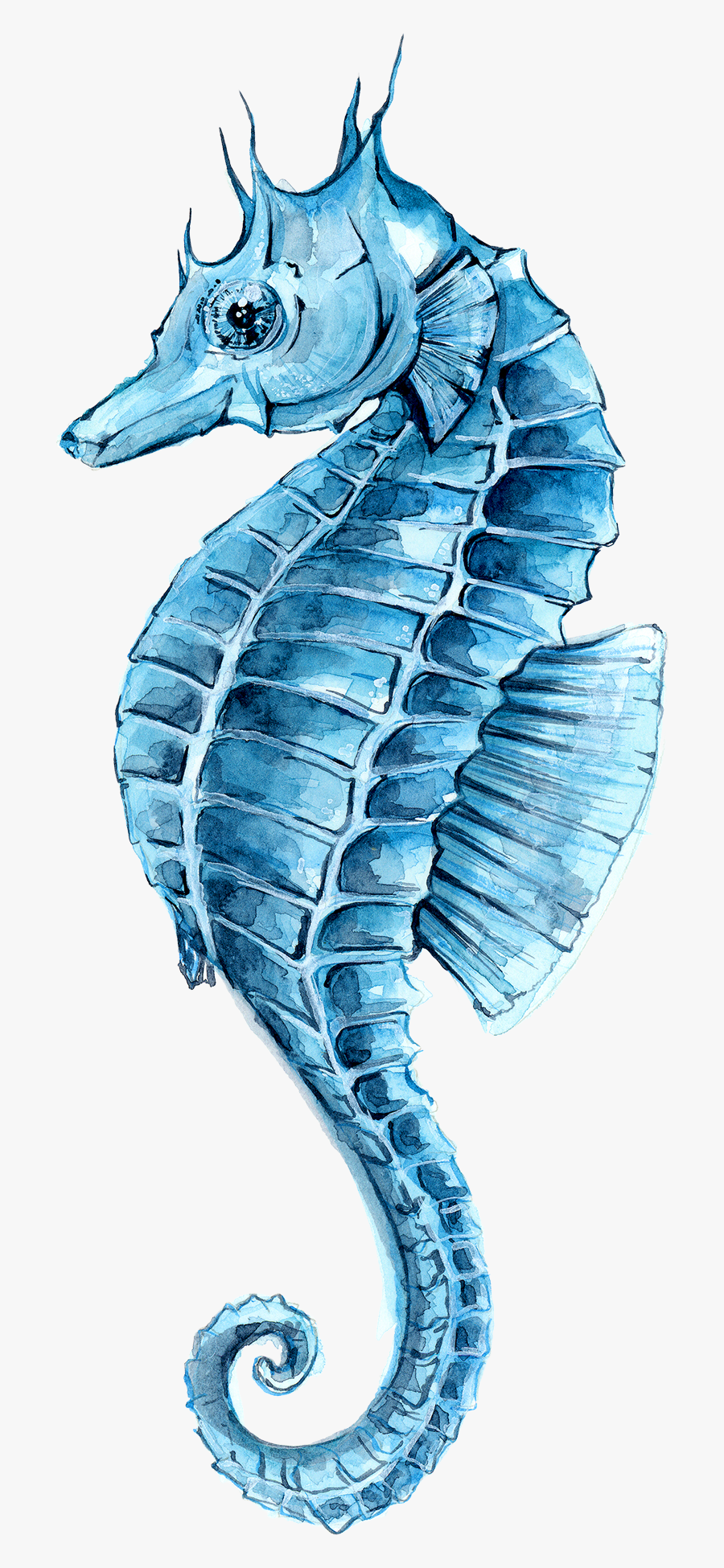 Hippocampus Seahorse Watercolor Green Painting Drawing - Paintings Of Sea Horses, Transparent Clipart