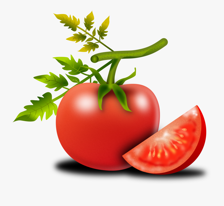 Tomato Fruit Solanum Lycopersicum Image Pixabay - ประโยชน์ ของ ผัก แต่ละ ชนิด, Transparent Clipart