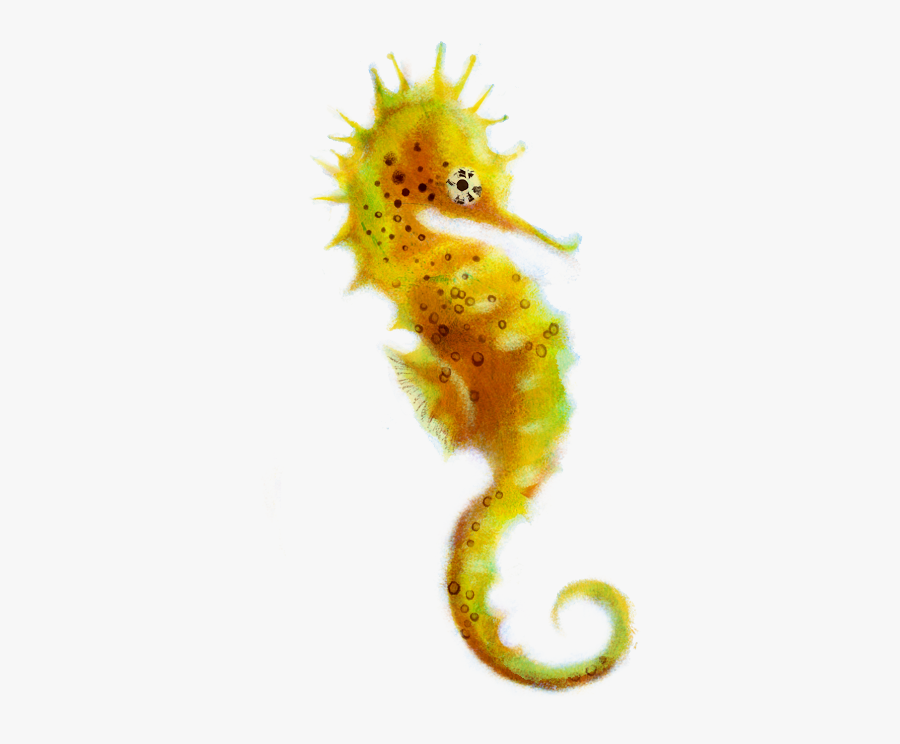 Png Seahorse Clipart - Transparent Background Seahorse On Transparent, Transparent Clipart