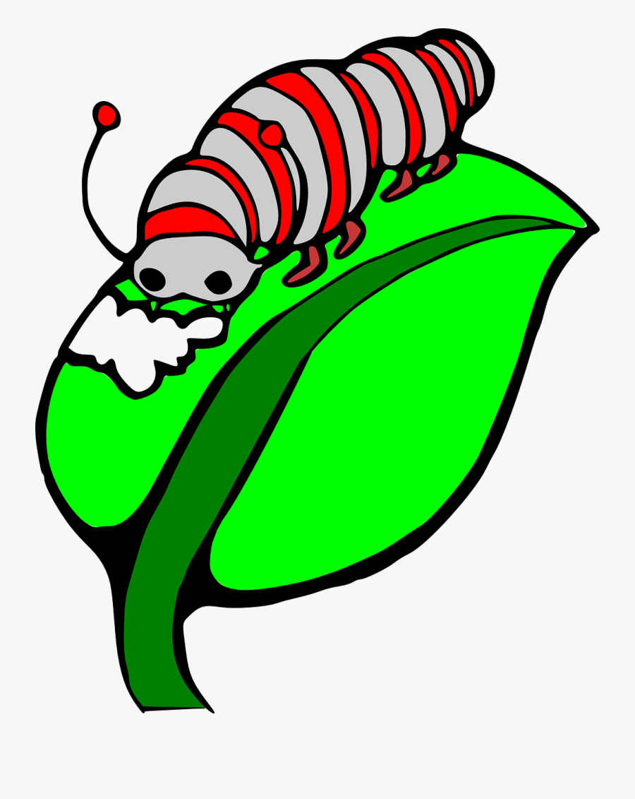 Caterpillar On A Leaf Clipart Panda Free Images- - Caterpillar On A Leaf Clipart, Transparent Clipart