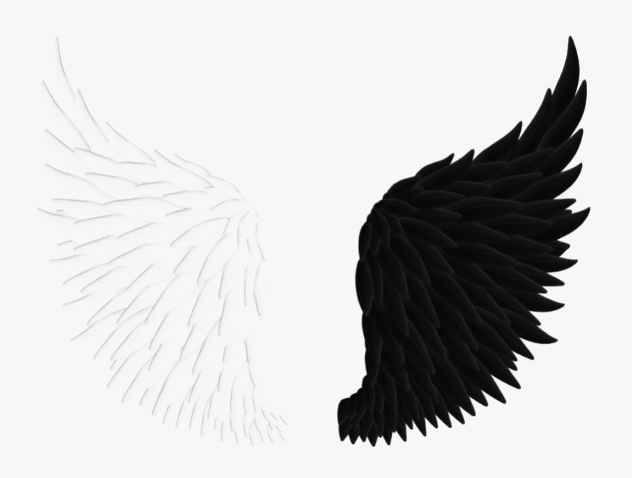 Angel Wings Png - Black And White Wings Transparent, Transparent Clipart