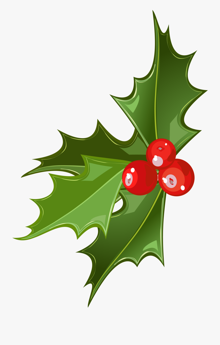 Holly Clipart Cherry - Mistletoe Transparent, Transparent Clipart